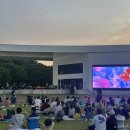 담빛시네콘서트 이미지