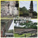 칠성자원 | [전남 화순 가볼만한곳] 천불천탑 미스터리 운주사 | 광주 근교 사찰 사계절 산책 추천