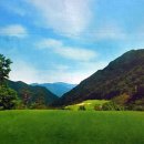 아델스코트 컨트리클럽 이미지