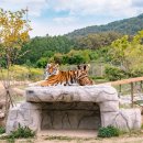 백두프라자 이미지