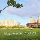 2021년 찾아가는 문화활동 비대면 공연 | 시흥아트센터 서포터즈 활동_ 프리뷰 페스타 25.09.20