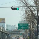 쭈꾸미엄나무닭한마리 | 여행 닭한마리에 진심인 사람이 인정한 종로신진시장 닭한마리골목 엄나무닭한마리 &lt;거성닭한마리&gt; 후기