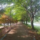 국토종주자전거길1-34 이미지