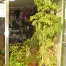 수원-1154 이미지