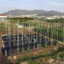 일석농장 이미지