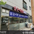 한성채널실사