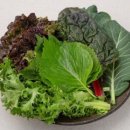 (주)드림볼 이미지