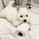 For 두번째 사춘기 이미지