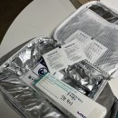 수정-7 | 시엘병원 인공수정 1차 후기 및 증상기록(1-7일차)