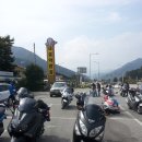 속초 봉포머구리 물회투어 이미지