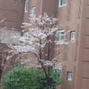 GS25아주운동장점 이미지