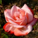 청암공원 이미지