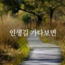 지지배배 이미지