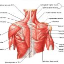 건강한의원 이미지