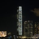 별빛콩