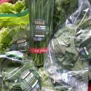 상옥프로폴리스 | 블로그 오랜만인사드려요, 특우농원 약선채소 꾸러미 6월 1주차 배송되었습니다 .