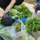 현숙 농장 이미지