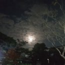 효명고 기숙사 네이버블로그