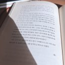 어서타개 | 독서 후기 : 임페리움 (로마사 트릴로지1)