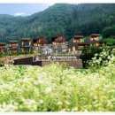 578프라이빗하우스 이미지