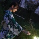 혼고 카카오 검색결과