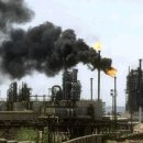 웰빙축산 이미지