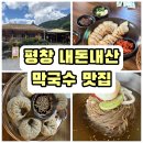 토담막국수 | 여름 가족 여행 중 발견한 찐 평창맛집, 토담막국수 방문 후기(내돈내산)