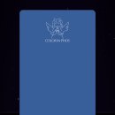 라비아테라피 | 상담 링톡: 컬러로 알아보는 나의심리/ 심리상담/ 컬러상담/ 컬러테라피/ 비대면상담/ 라비아상담사/ 링톡