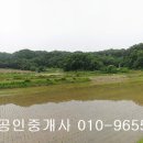 경기도 이천시 율면 오성리 임야6678제곱,매2억2천,경기도토지매매,이천토지매매 이미지