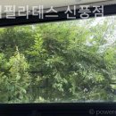 어몽뎀 네이버블로그