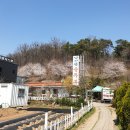 남산뜰순두부 이미지