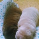 승순농장 이미지