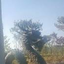 용오름마을 이미지