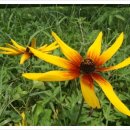 덕우리마을 이미지