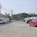 죽도해수욕장 야영장 이미지