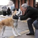 하치이야기 이미지