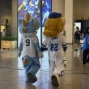 와일드카드 결정전 2차전 관전포인트 이미지