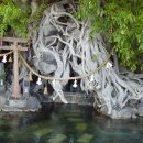 후루사토 이미지