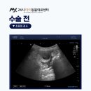 금촌종합동물병원 이미지