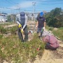 냉천2리 이미지