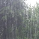 재해문자전광판(2) 이미지