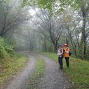 운주 좋은 날 | 운주산 둘레길, 운주산성 - 세종 걷기 좋은 길