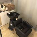 경북대학교 정문 이미지