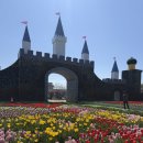 (주)코리아세븐태안점 | 2026 태안 세계튤립꽃박람회 봄나들이 명소 실시간후기