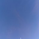 필리스카페