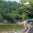 솔밭야영장 | 팔공산 동산 계곡 평상대여 군위 솔밭야영장으로 다녀왔어요! 군위 솔밭야영장 방문후기!
