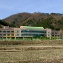 유치초등학교 이미지