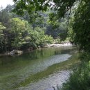 대 산 Daum카페