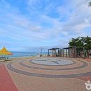 송정동 298-14 | [강원도 강릉시] 강릉 안목해맞이공원 - 전 견종 가능 · 맹견 입마개 · 목줄 착용 · 배변봉투 지참