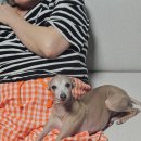 명수농장 | 20대 여성 순자산 상위 100%의 12월 요약